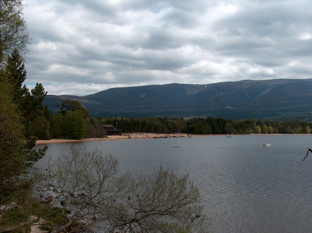 Loch Morlich Beach