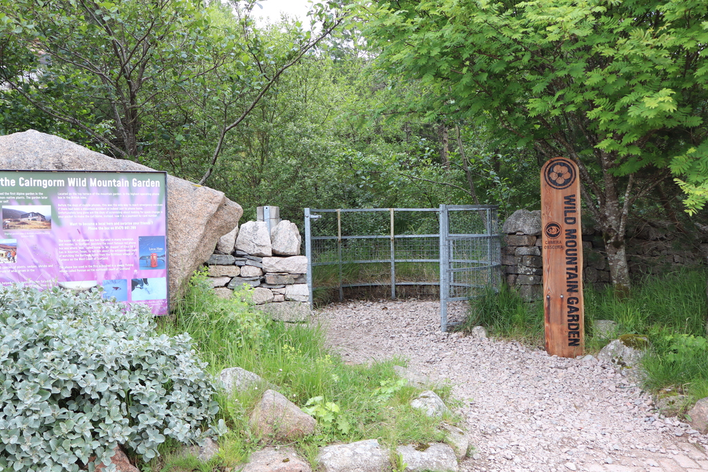 Wild Mountain Garden Base Station Cairngorm Mountain