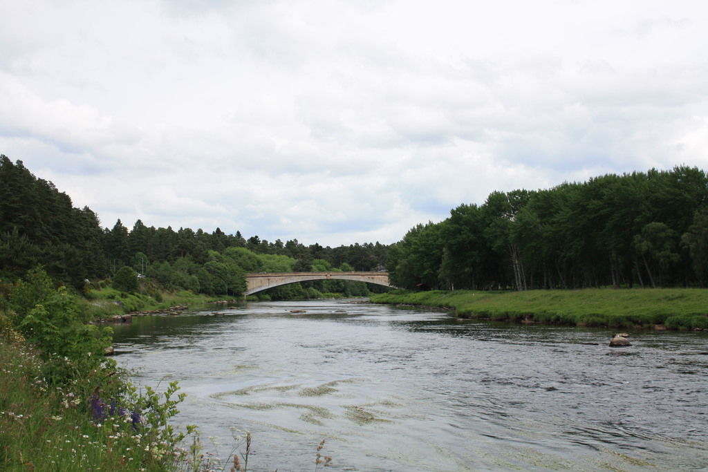 River Spey at Grantown-on-Spey