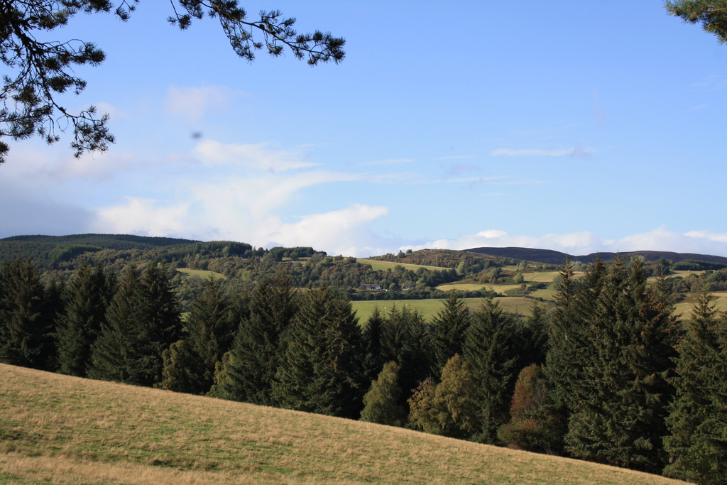 View from Craigmonie Woods Drumnadrochit
