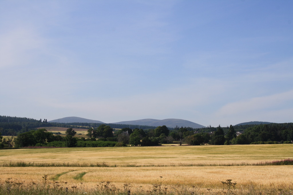 Mountain view near Alness