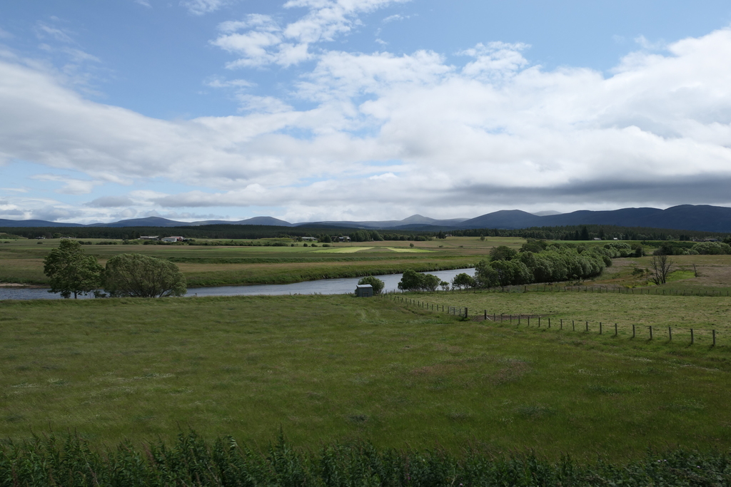 Farmland and the River Spey from the Strathspey Railway