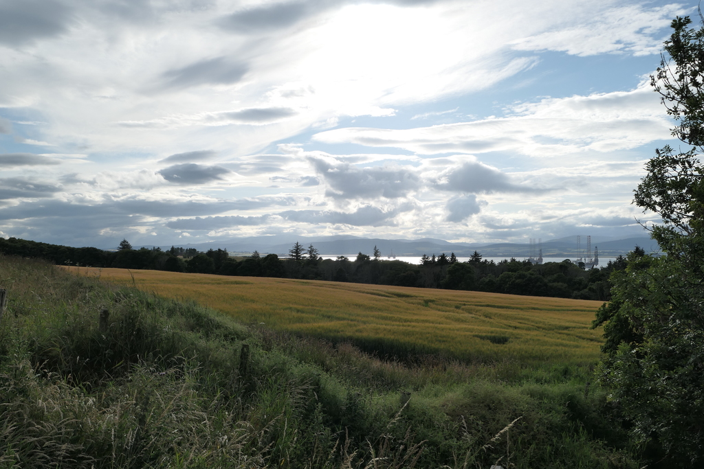 Fields on South Sutor walk Cromarty