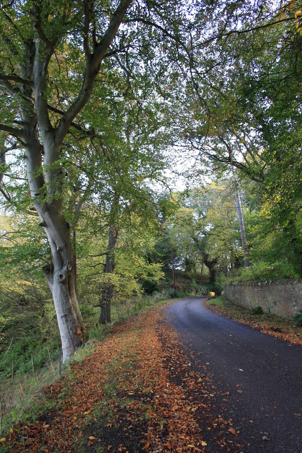 Road near Cromarty Bowling Club