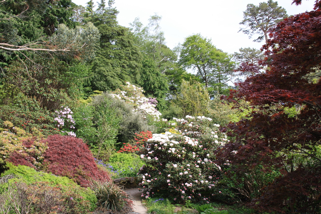 Inverewe Garden