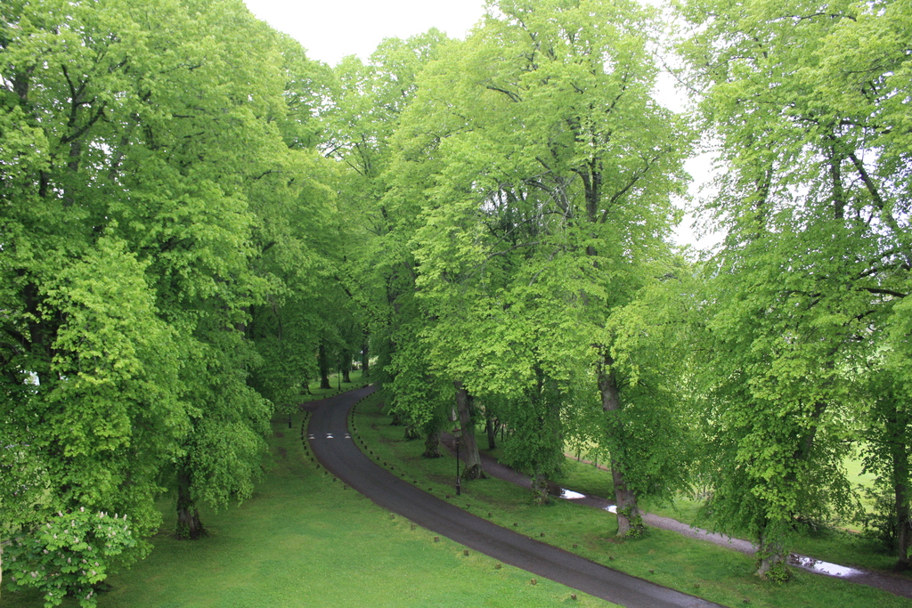 Road to Huntly Castle