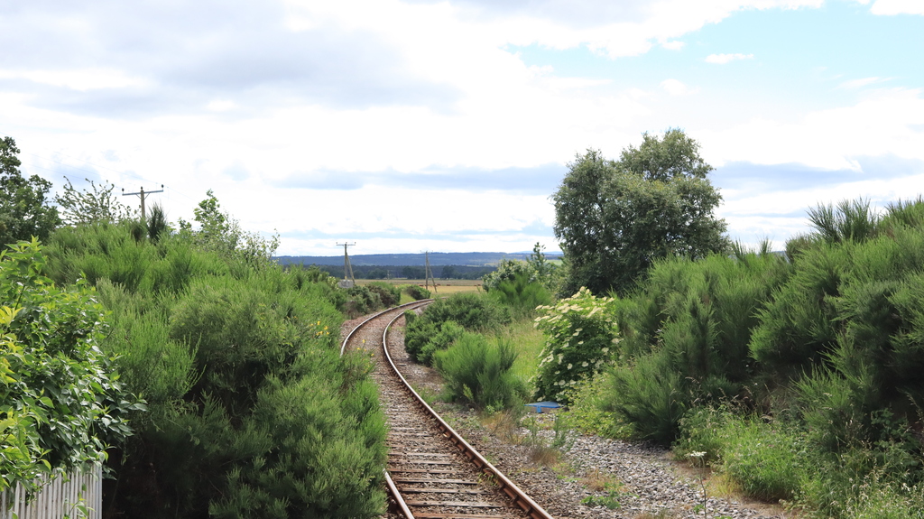 Far North Line from Golspie railway station
