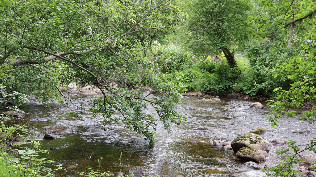 River Nethy from Riverside Path in Nethy Bridge