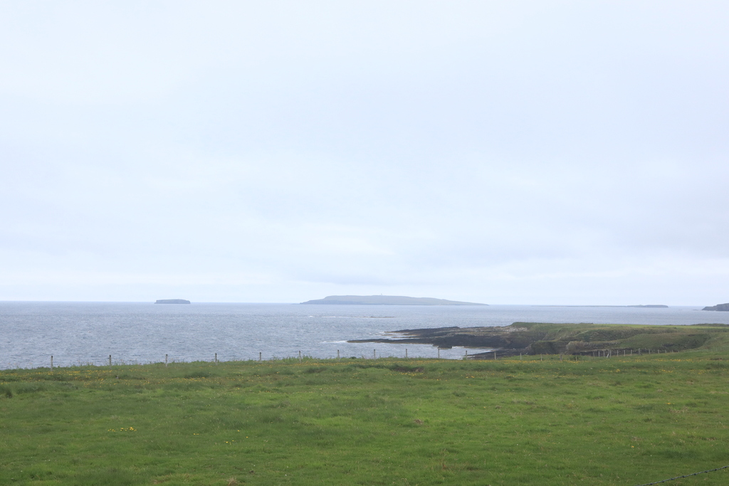 Mull Head Local Nature Reserve Orkney