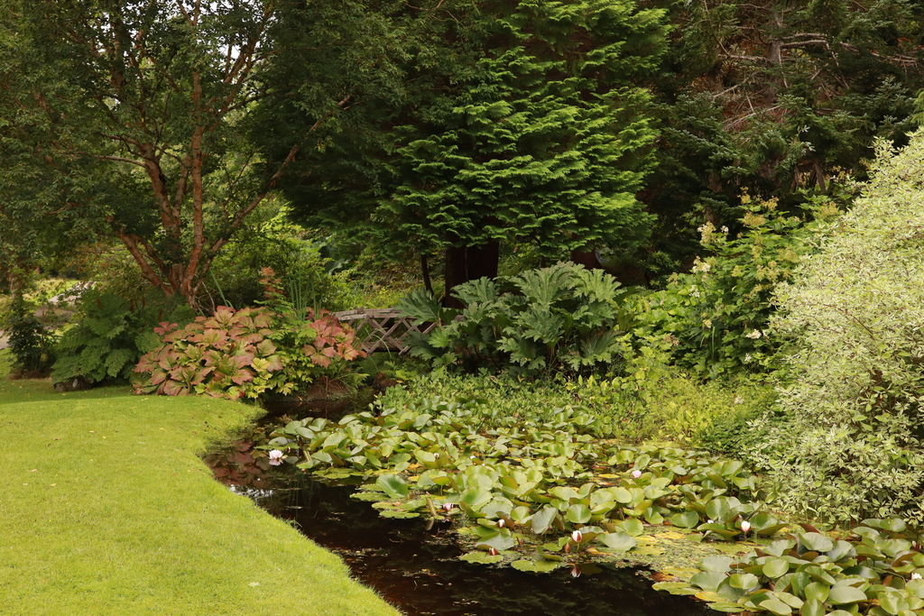 Water Gardens at Attadale Gardens