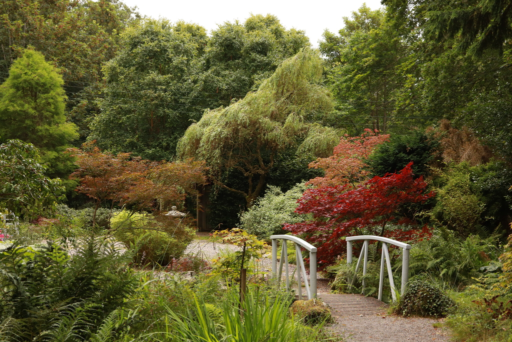 Japanese Garden at Attadale Gardens