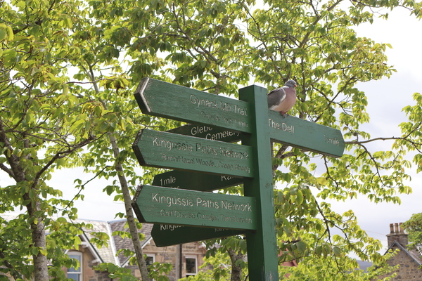 Walks signpost in Kingussie